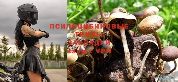 альфа пвп Володарск