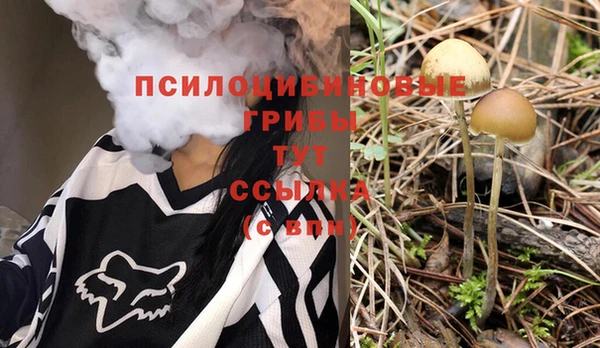 альфа пвп Володарск