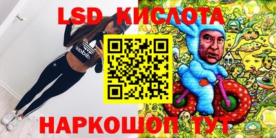 прущие грибы Беслан