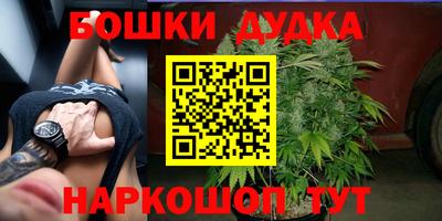 прущие грибы Беслан