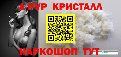 прущие грибы Беслан