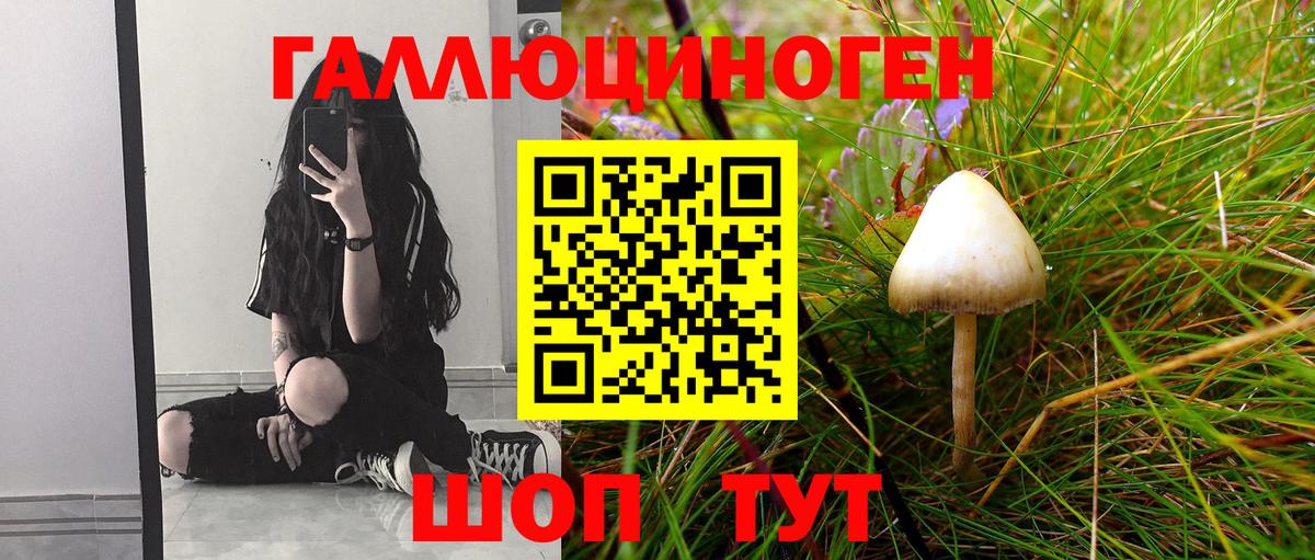 Галлюциногенные грибы прущие грибы Выкса